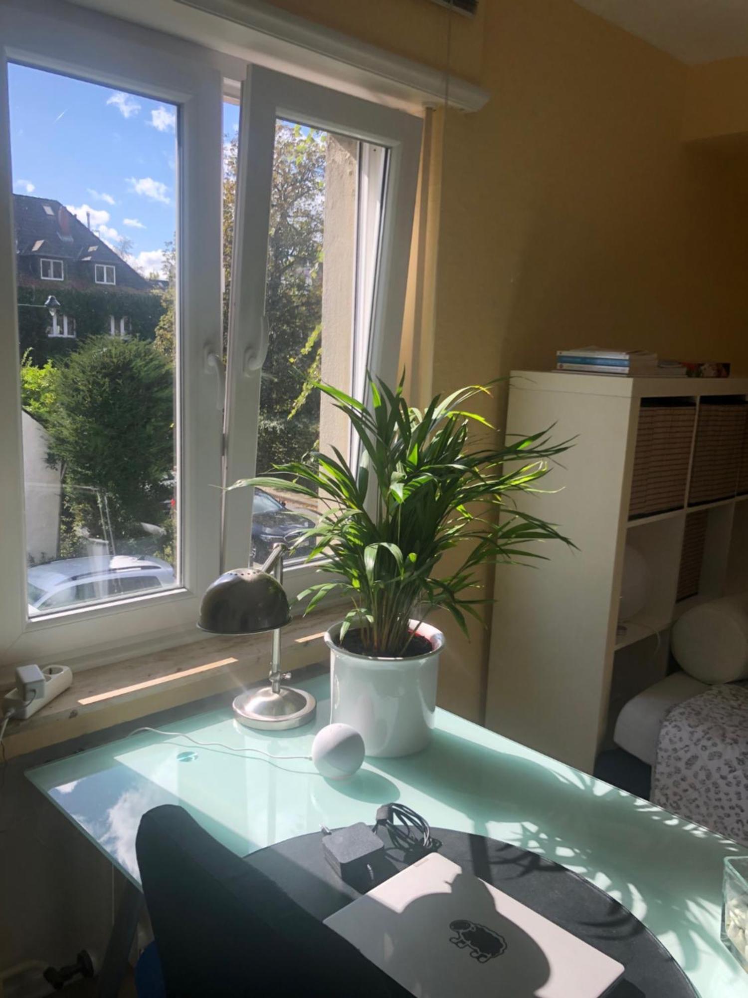Glueck In Benrath Apartment Düsseldorf Exterior foto